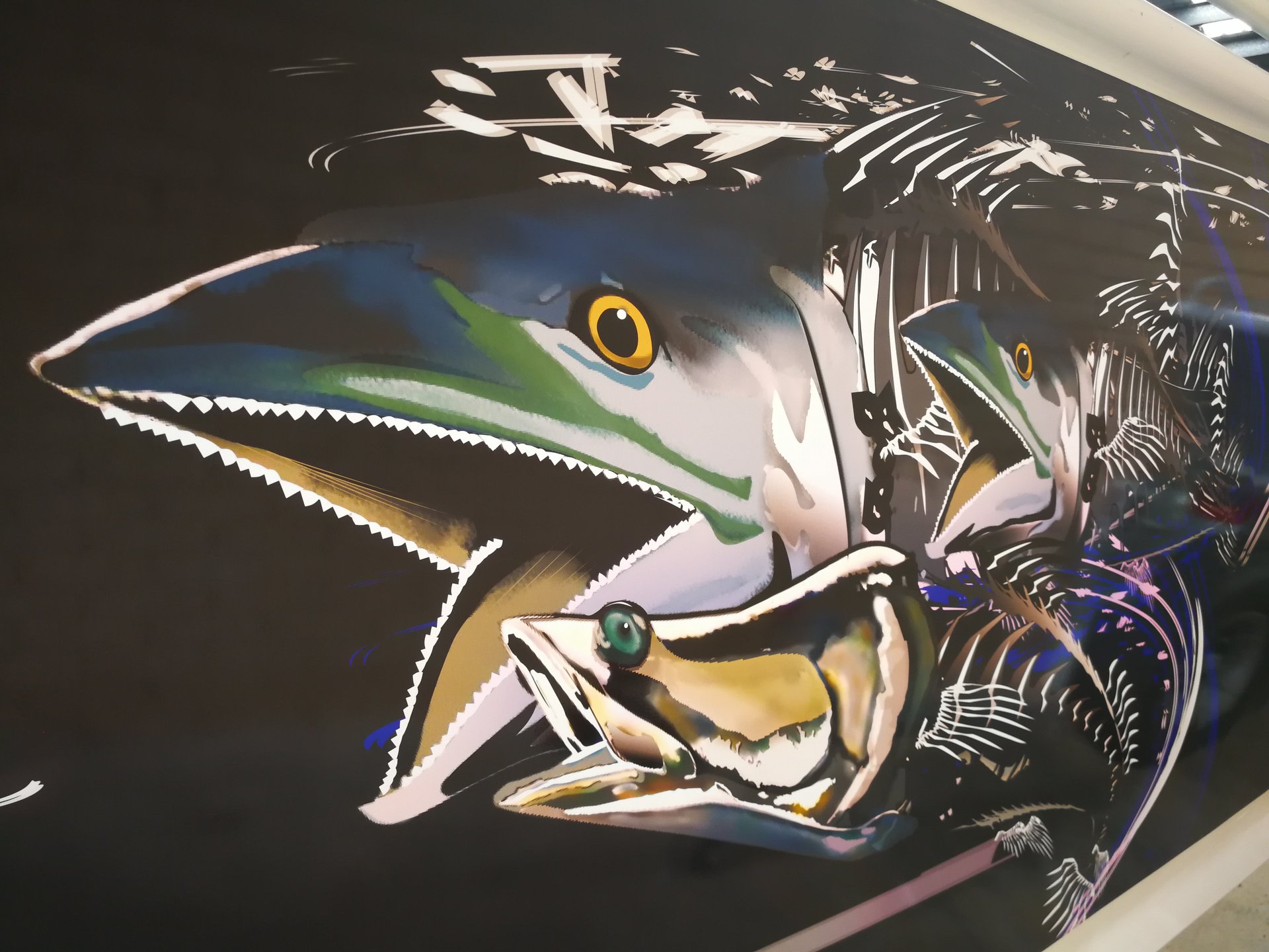 Vehicle Wraps