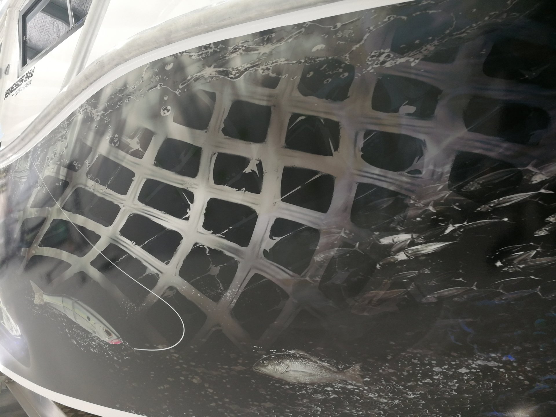 Vehicle Wraps